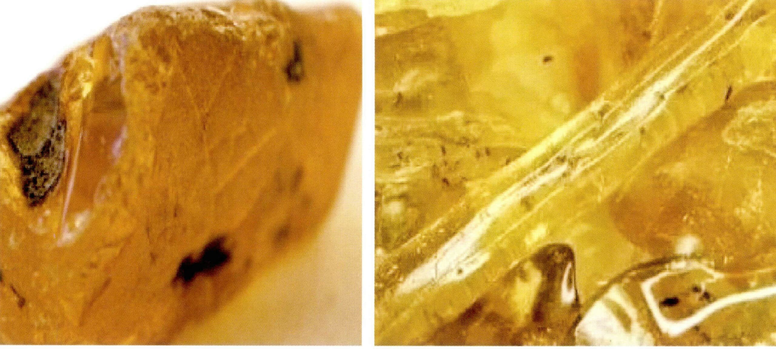 Figure 7-11 Copal resin used to imitate amber