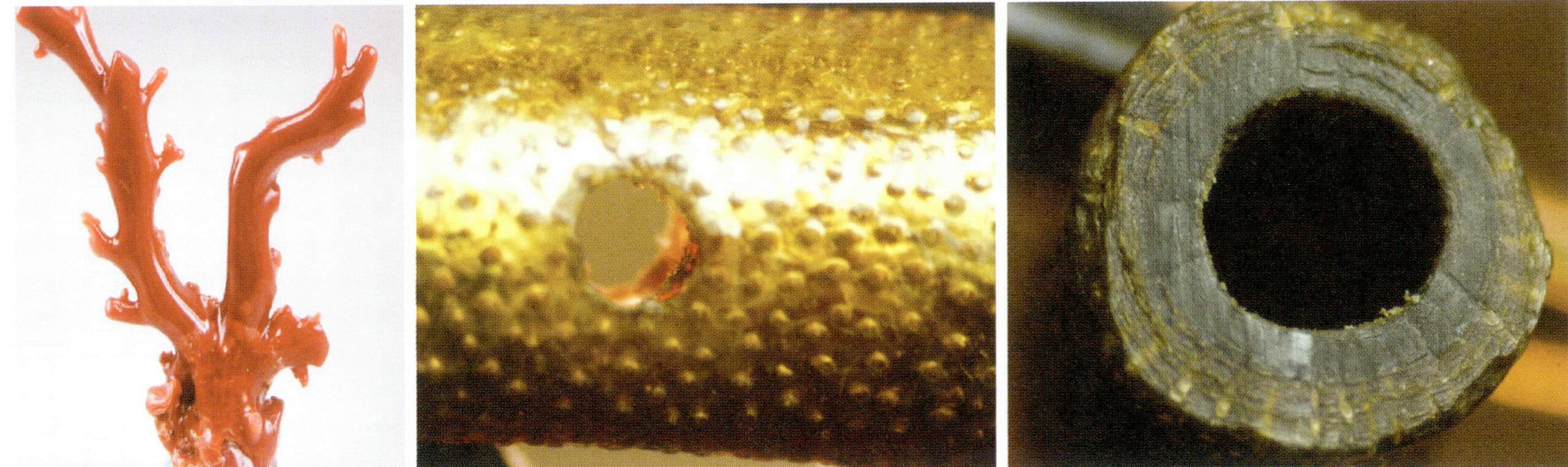 Figure 7-13 Concentric circular and ring structures, and the surface appearance of small papules