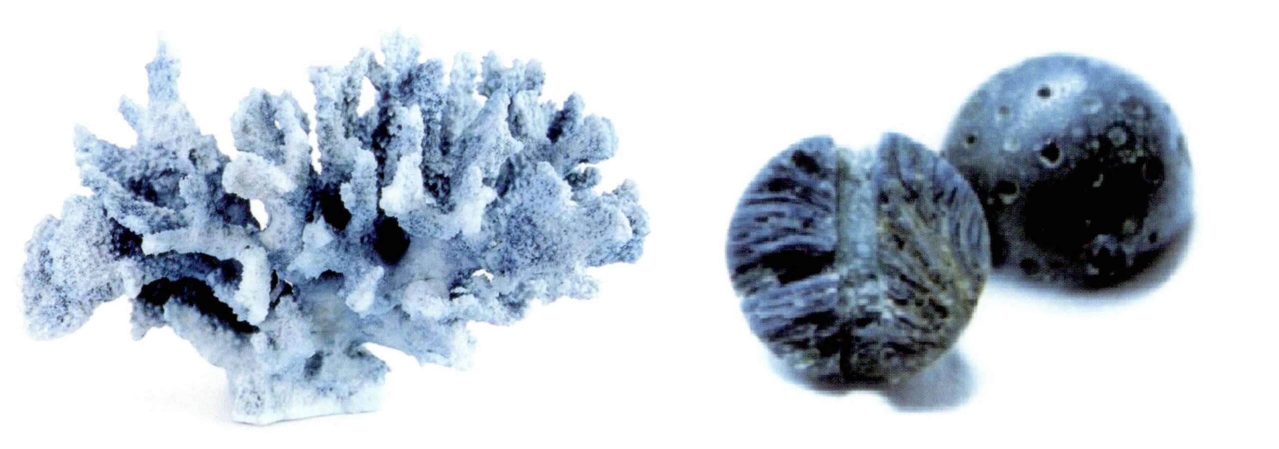 Figure 7-15 Coral filling treatment