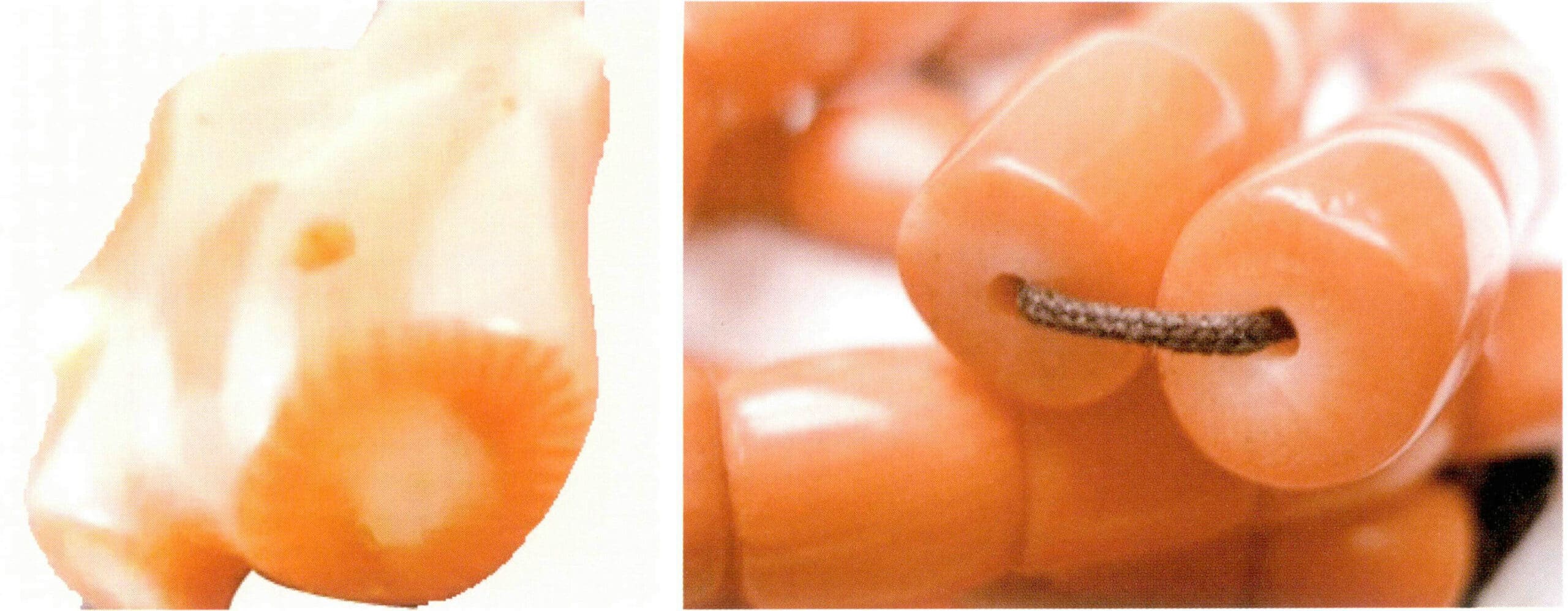 Figure 7-20 Dyed sea bamboo coral imitating coral