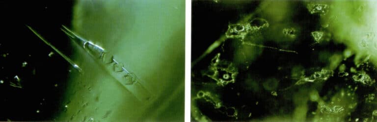 الشكل 2 - 12 خصائص الشوائب ثلاثية الطور في الزمرد الكولومبي