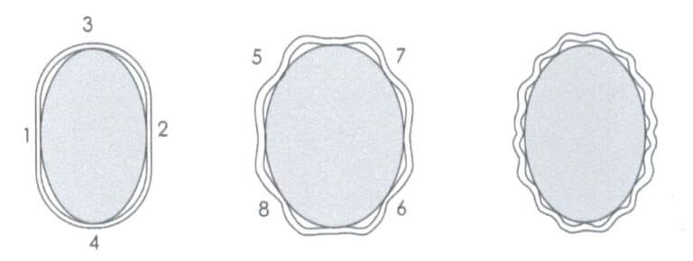 Figure 2-26 Order of Point Fixation