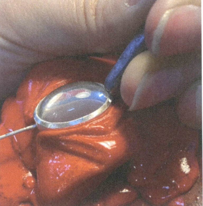 Figura 2-27 Poziția de utilizare a unei dălți cu cap plat