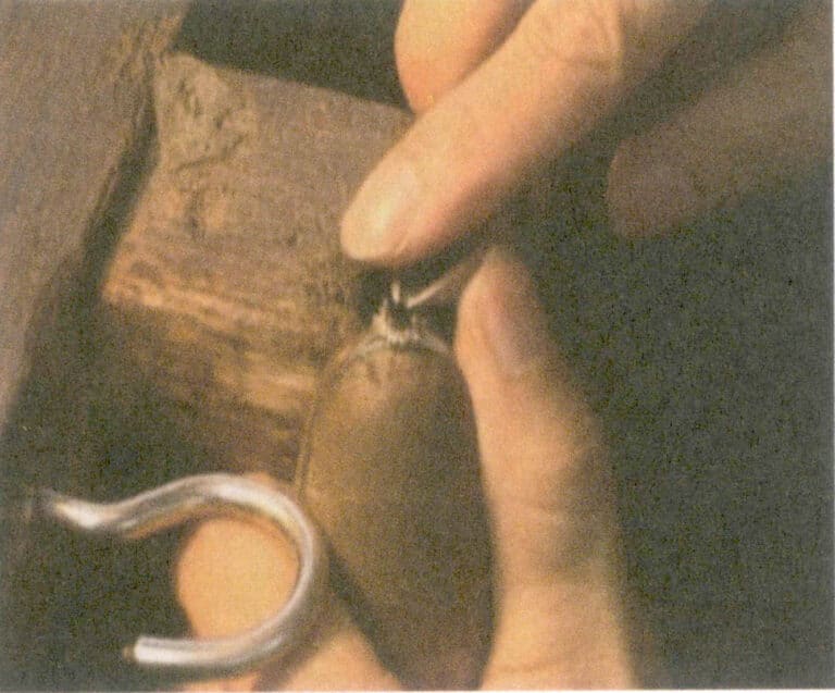 Rysunek 5- 14 Cięcie zębów