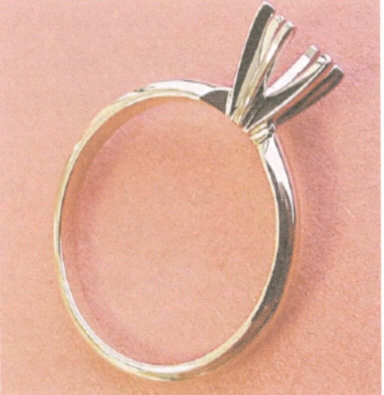 Figure 8-32 The assembled ring (According to Klotz F, 2003)