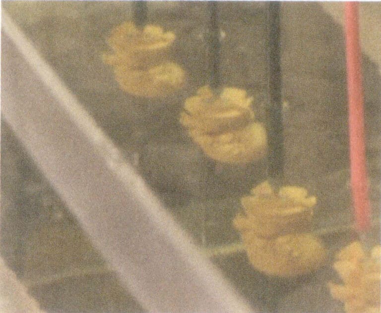 Рисунок 9-10 Помещение форм в резервуар для гальванопластики