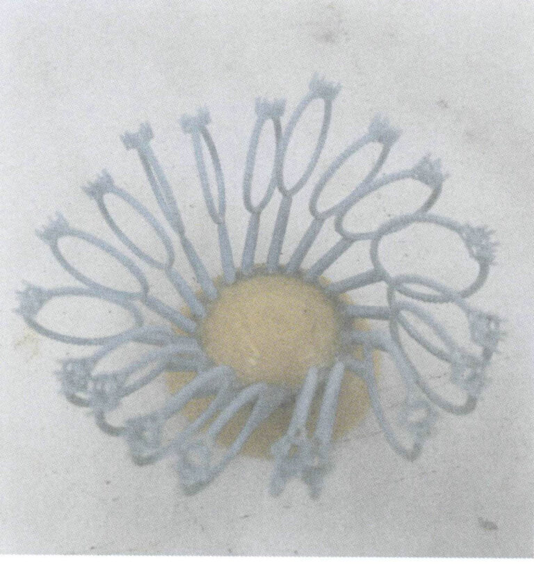 الشكل 4-24 توصيل الصب مباشرة بكوب السكب