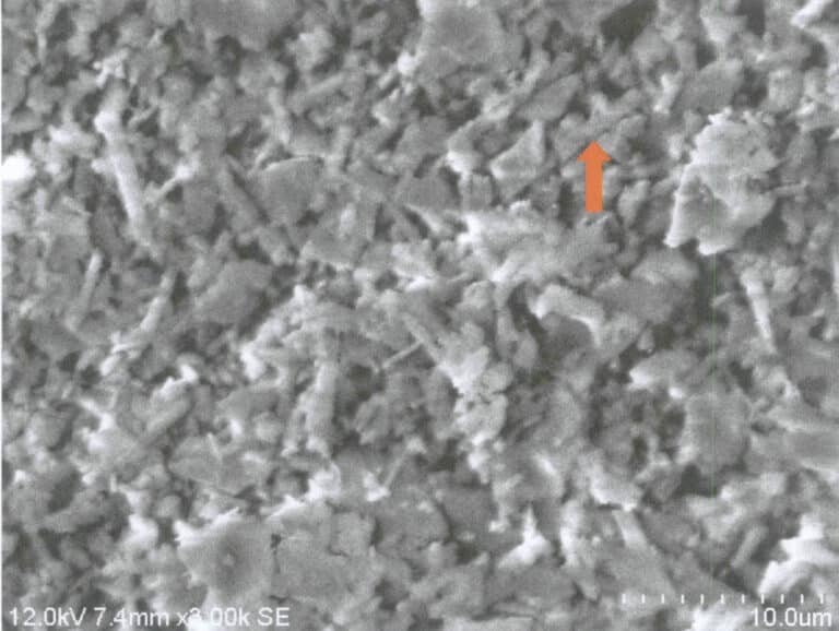 Figure 5-1 Microscopic morphology of gypsum crystals (indicated by the red arrow)