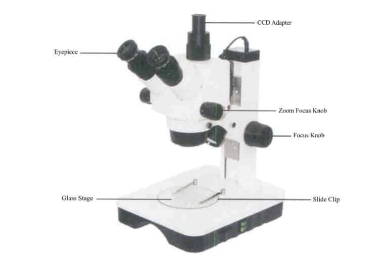Figura 8-28 Stereomicroscopio con sistema di imaging digitale