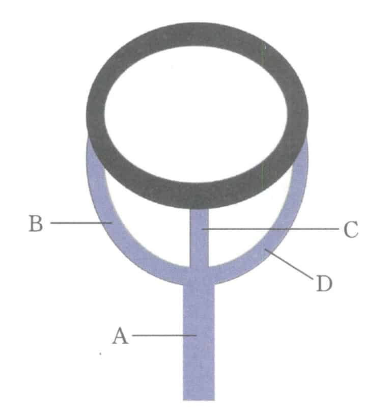 Figura 1-41 Desenho esquemático do modelo original de canal de ligação multi-ramo para brincos