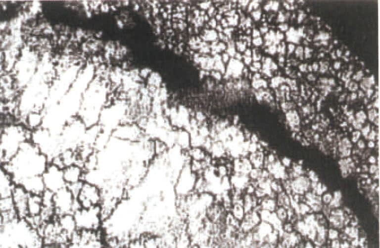 Figure 4-2 Intergranular corrosion cracks in the alloy caused by excessive lead and cadmium content