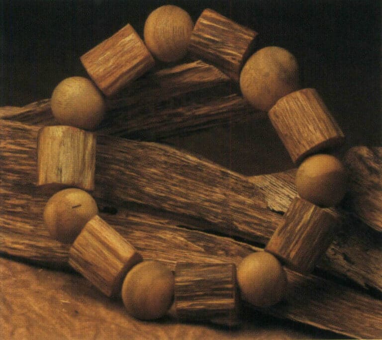 Fallen-trunk agarwood