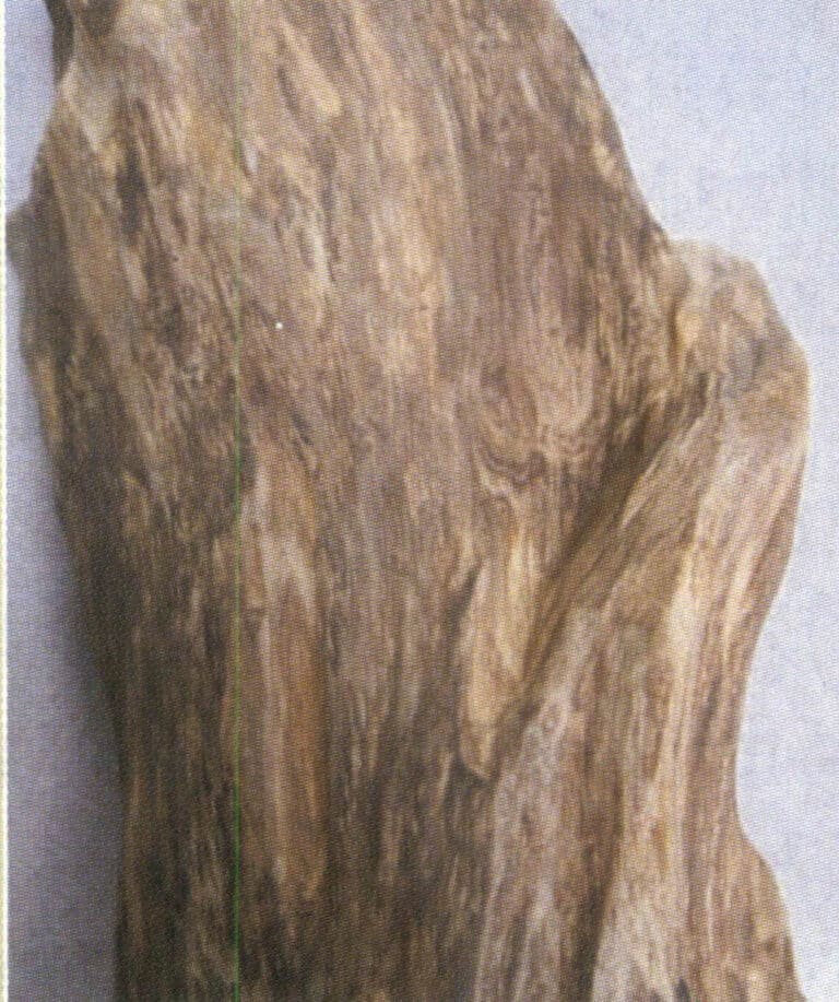 Water-sunken agarwood