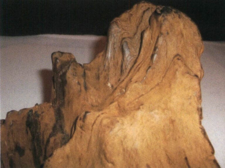 Earth-aged agarwood
