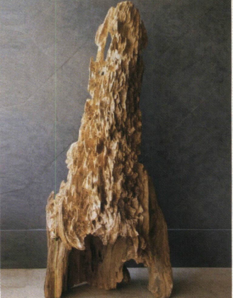 Ant-nest agarwood