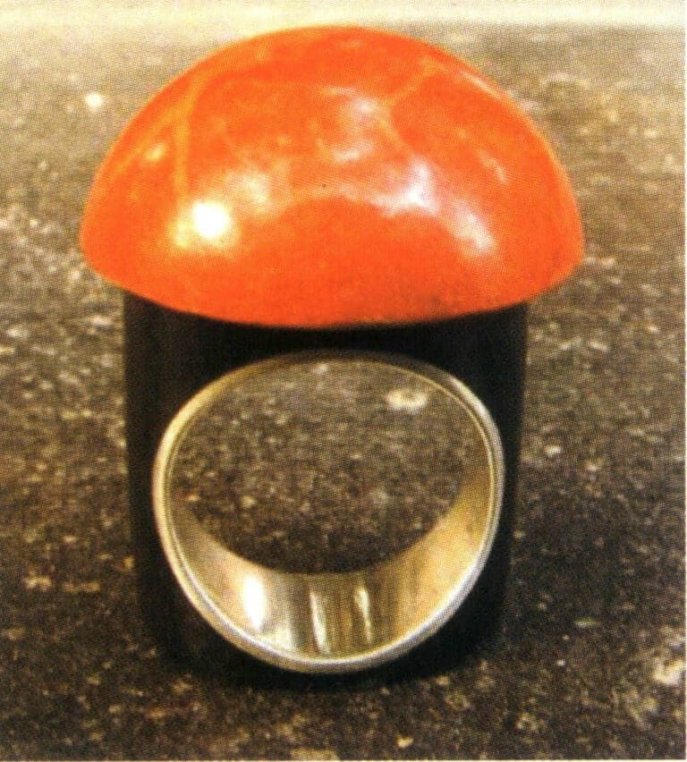 925 silver ring inlaid with ancient sunken wood