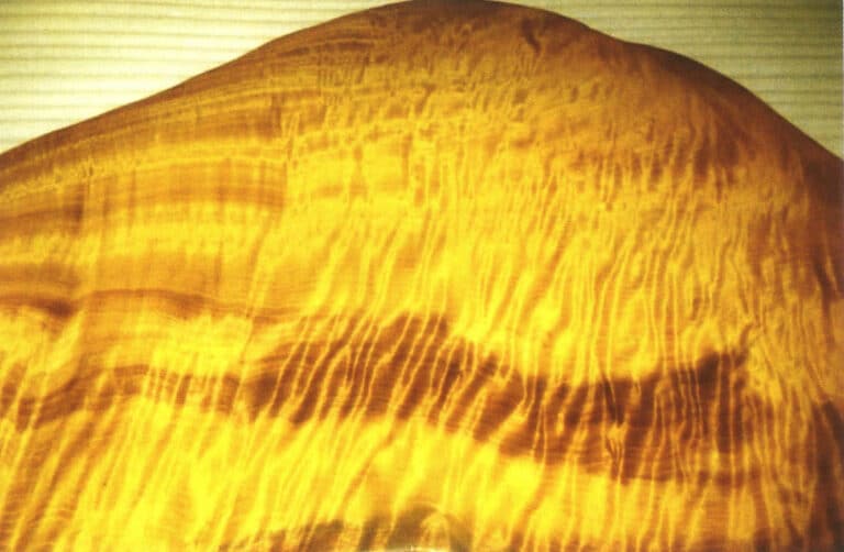 Superb water ripple pattern golden nanmu