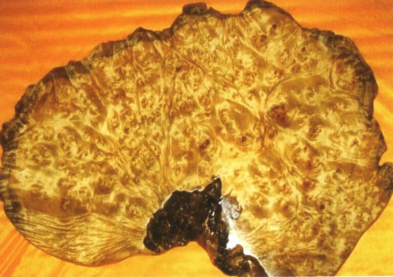 Grape-patterned golden nanmu