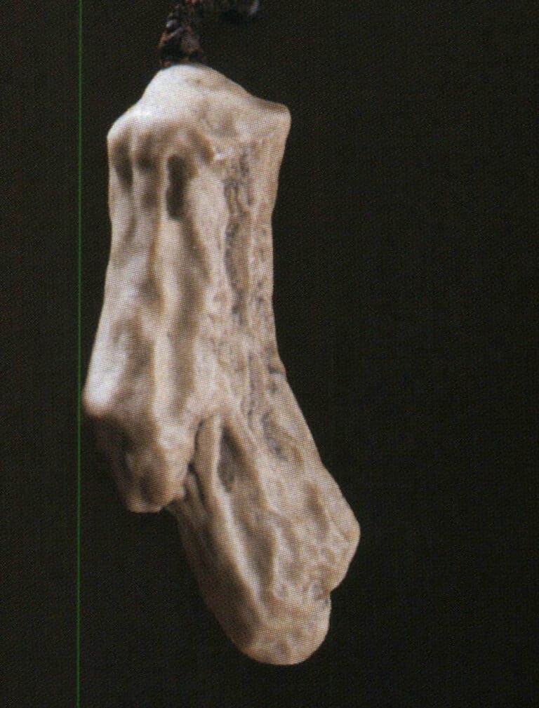 Petrified wood pendent