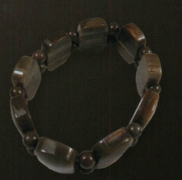 Petrified wood bracelet