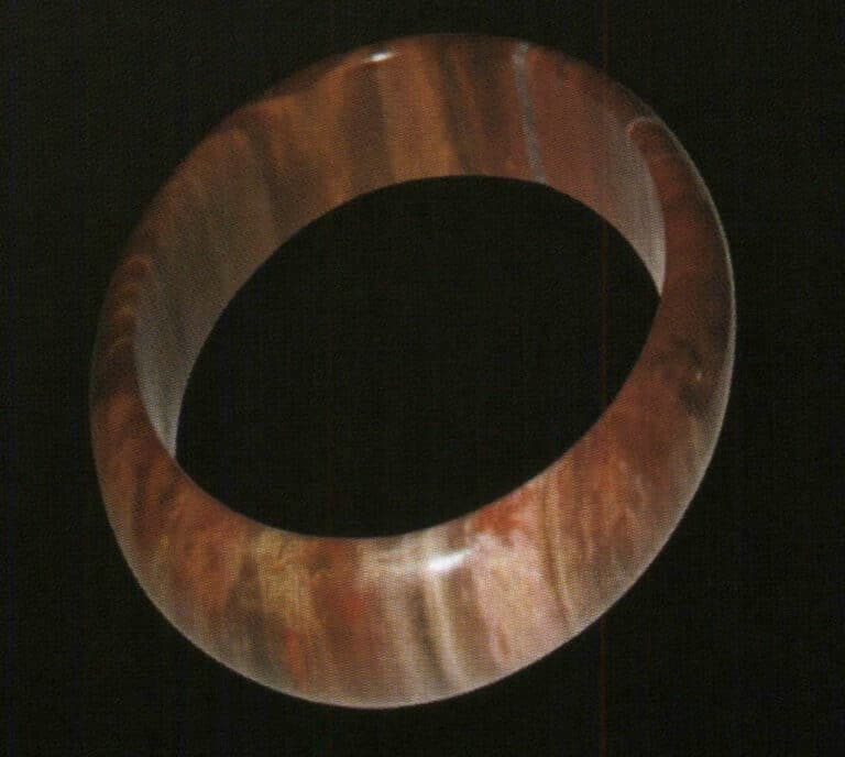 Petrified wood bracelet