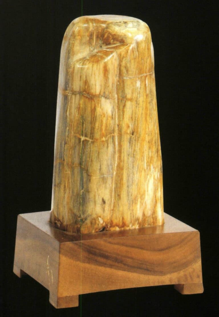 Petrified wood ornament