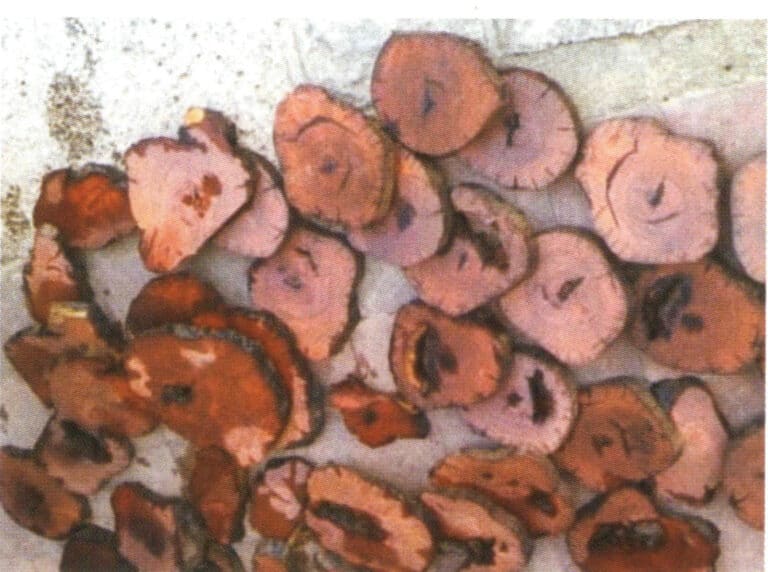Figure 10-4 Wood slicing