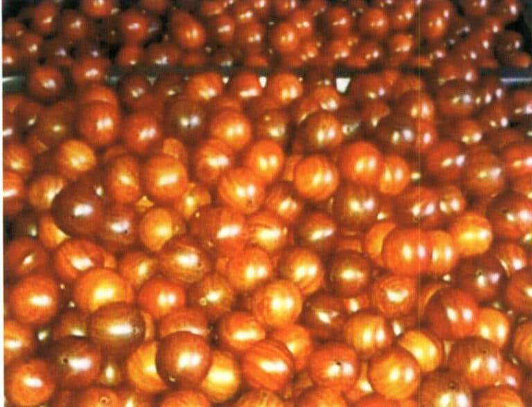 Figure 10-10 Processed beads