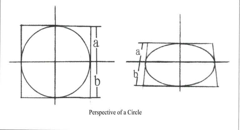 Perspective of a Circle