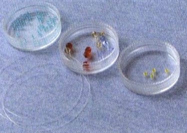 Figure 4-49 Materials Preparation for the Plum Blossom Variations Ring