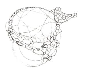 Step 05 Refine the ring’s internal structures (e.g., diamonds). Prioritize proportional accuracy and structural clarity with light pencil pressure.