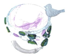 Step 07 Begin coloring: Use a small watercolor brush to apply premixed green tones along the gemstone’s outlined areas, suggesting basic light-dark relationships; Paint the remaining ring sections with pink (magenta + lemon yellow) and muted green (emerald green + Payne’s grey + Chinese white) for the first wash, keeping colors thin and translucent.