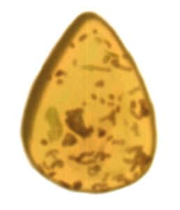 Step 03 Create a "Texture 1" layer. Select dark brown and reduce opacity to paint internal impurities and forms, conveying the amber’s translucent quality through simplified rendering.