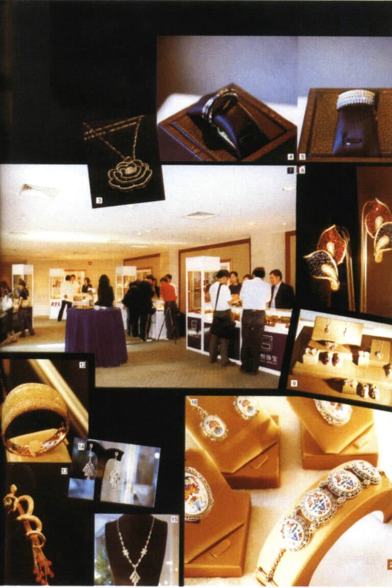 Figure 1-6 Fashion Jewelry Display