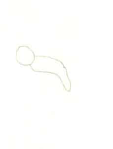 Шаг 01 Начните с частичных фрагментов. Слегка набросайте контуры головы и брюшка броши-бабочки, используя свободные, небрежные линии в качестве ориентира.