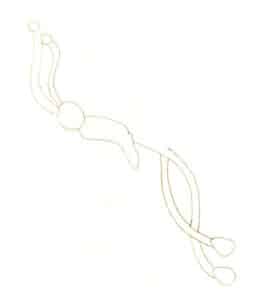 Шаг 02 Исходя из общих пропорций, очертите усики и хвост броши естественными, плавными линиями карандаша.