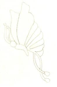 Шаг 03 Нарисуйте внешний контур крыльев с помощью спокойных изогнутых линий.