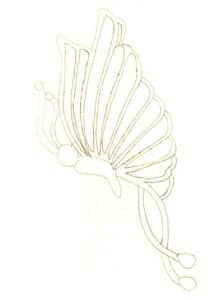 Шаг 04 Определите внутренние структуры крыльев с помощью карандаша.