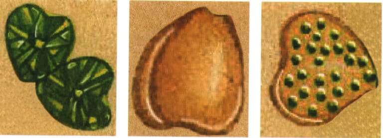 This "Happiness" themed jewelry design set includes a necklace, earrings, a ring, and a bracelet, each featuring the same element—the four-leaf clover. To highlight the sense of layers, the shapes of the four leaves are not identical. Two adjacent leaves are made of green heart-shaped crystals with the same design. The other two leaves retain the original alloy material, and the other is embellished with small green diamonds.