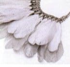 White Purity, truth, peace, innocence, simplicity, cold, death, marriage (western), birth, virginity, simplicity, etc.