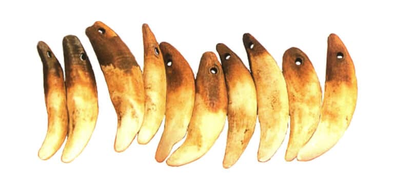 Although it is difficult to accurately trace the origin of jewelry, humans have been aware of the need to decorate and beautify themselves since the Stone Age, leaving behind items such as animal bones and stone necklaces. In addition, natural objects such as animal teeth, horns, shells, feathers, and plant fruits and seeds, with their shapes and colors, were important elements of early body adornments. Besides their decorative and beautifying functions, these ornaments could also be amulets to ward off disasters and bring good fortune, worn to seek success in hunting and personal safety. Research has shown that the forms of early primitive jewelry were mainly necklaces, waist ornaments, hip ornaments, wrist ornaments, and head ornaments. In the origin and development of jewelry, religious and social functions are two important driving forces, which evolved based on human physiological instincts. With the development of the times and the advancement of technology, the materials, colors, shapes, and craftsmanship of jewelry have all progressed, with great potential for further enhancement. Jewelry has become a common decorative item in people's daily lives. Due to the different materials, colors, styles, and craftsmanship of jewelry, they evoke different feelings, thus endowing them with varying meanings. However, people need to appreciate the pure essence of original culture, not to focus on the price of decorative items, but to value sincere, warm, and romantic expressions of emotion.