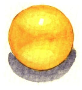 Step 05 Paint the cast shadow with Payne’s grey. Adjust and finalize the artwork to complete.