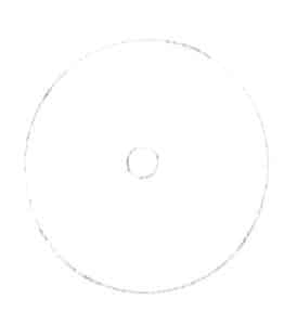 Step 02 Draw a smaller circle at the center of the first one to refine the structure.