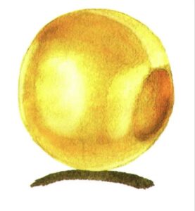 Step 06 Paint the gold bead’s cast shadow with Ivory Black. Adjust highlights using white pigment to complete the artwork.