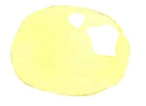 Step 03 Lighten the pencil sketch with a soft eraser. Apply a base layer of lemon yellow to the garnet, reserving whites on illuminated surfaces.