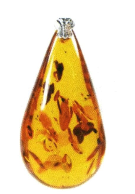 Amber with Plant Debris