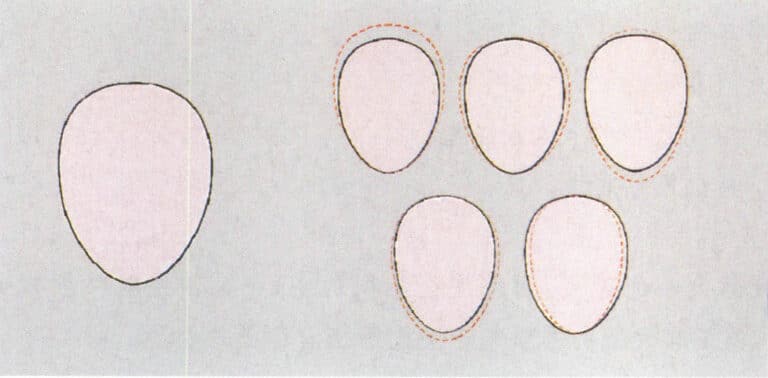 Standard oval face (left) and variation of oval face (right)