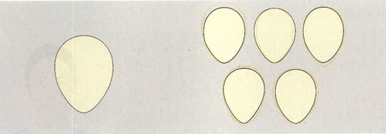 Standard oval face (left) and variation of oval face (right)