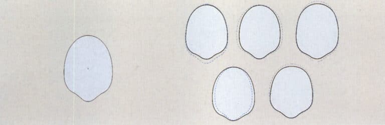 Standard pear-shaped face (left) and variant pear-shaped face (right)