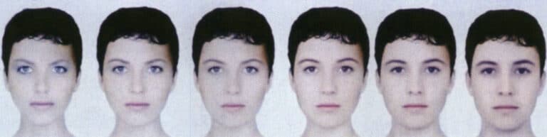 The gradual transition from straight to curved lines on a woman's face (from left to right, straight to curved)